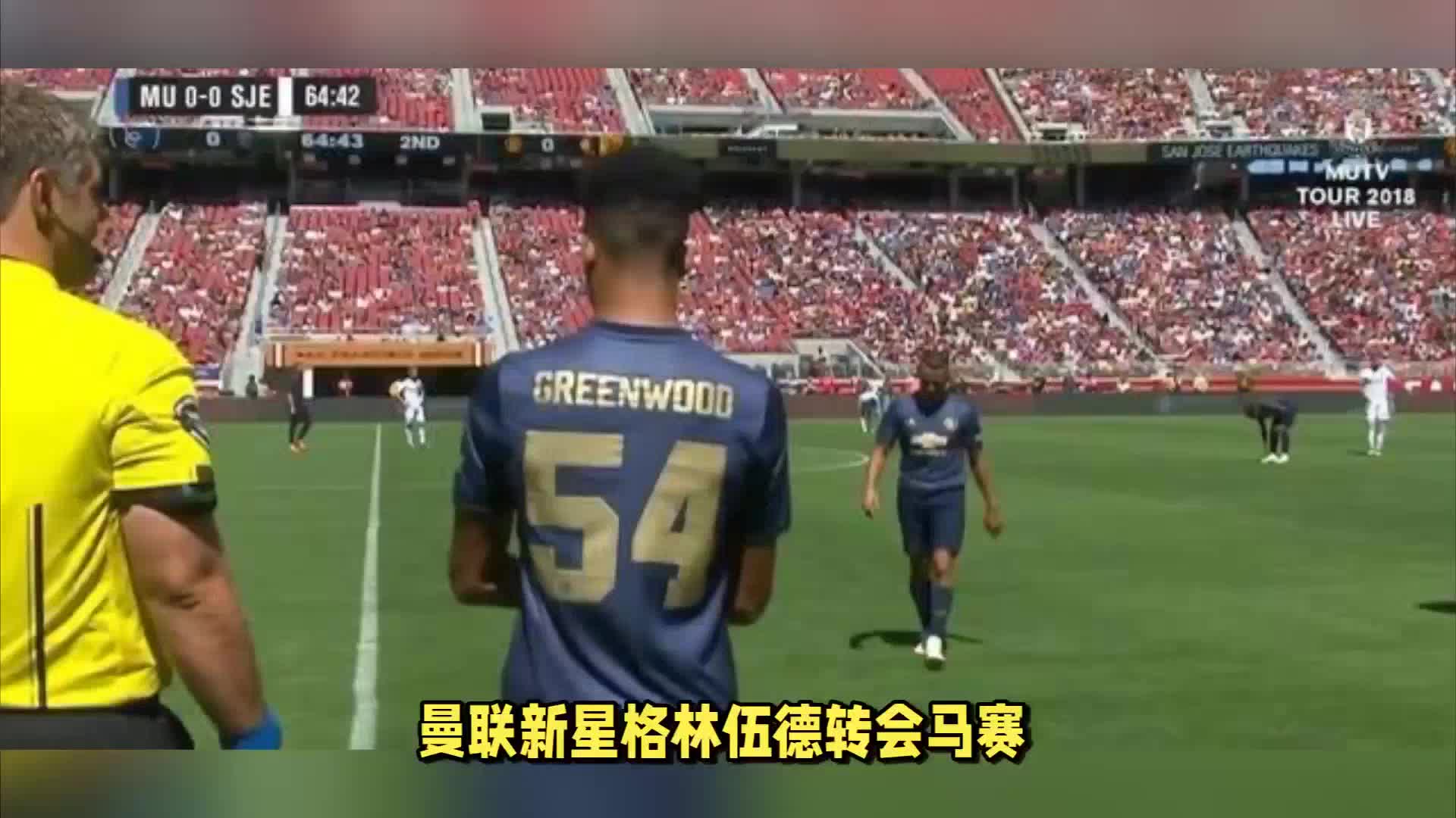 能感